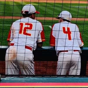 Meet your Posher, Bridget